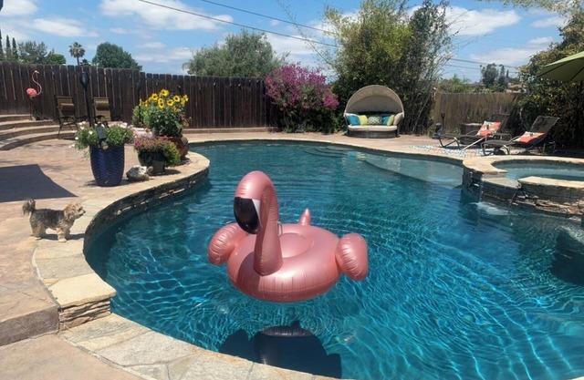 Your own Suburban Oasis!