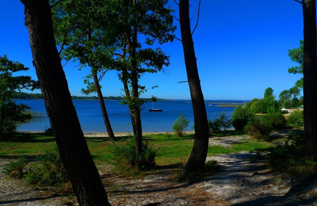 Your unforgettable holiday in Sanguinet
