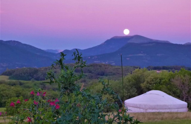 Yurt and tent cabin rentals