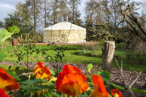 Yurt Klyndobbe