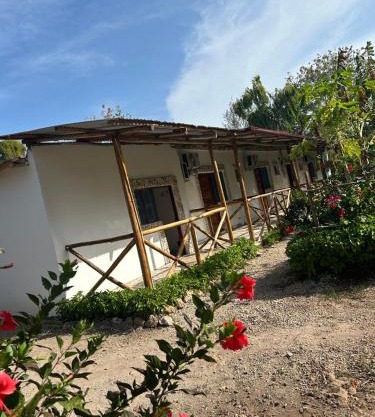 Zanzllywood Uroa Beach Apartments