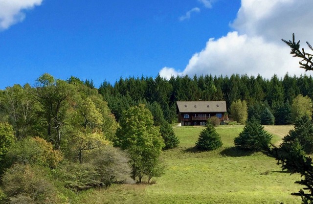 Zelený Les: house in a secluded 100 acre wood with meadows, pond, and brook