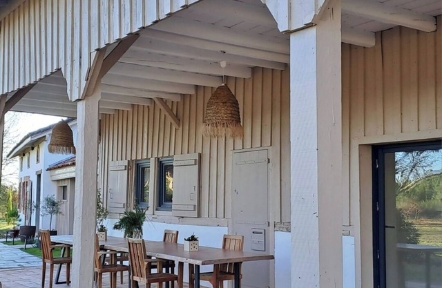 Zen break at Pinéala, in the heart of the Landes forest!