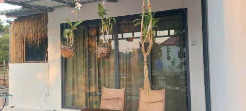 Zen Space Nesat