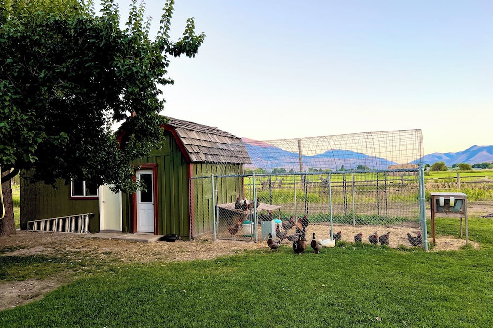 Salmon House | Mountain getaway on a private culdesac, 360 views out large windows.