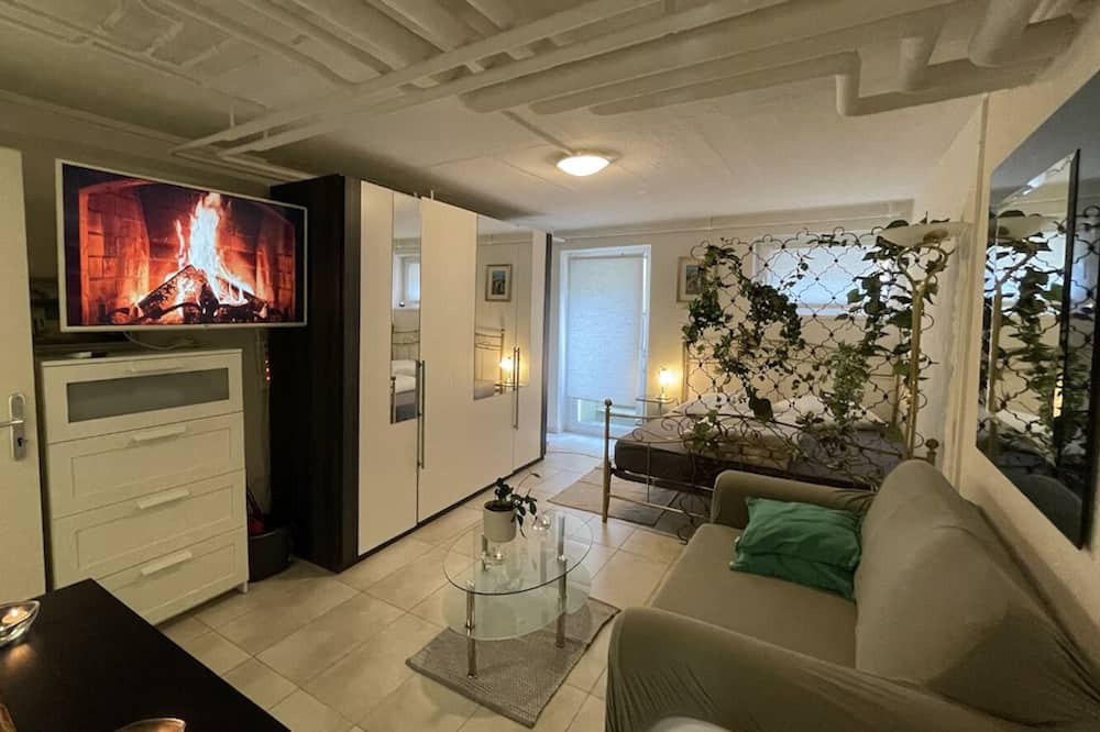 Basel City Centre Condo | Cozy Place Whit Fast Wifi 3 min From Rhine