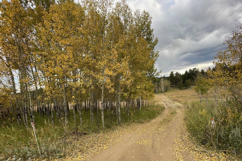 Nederland Cabin | Slice of Wild Heaven: Magical, Cozy, Forest Cabin @ the Top of the World. Views