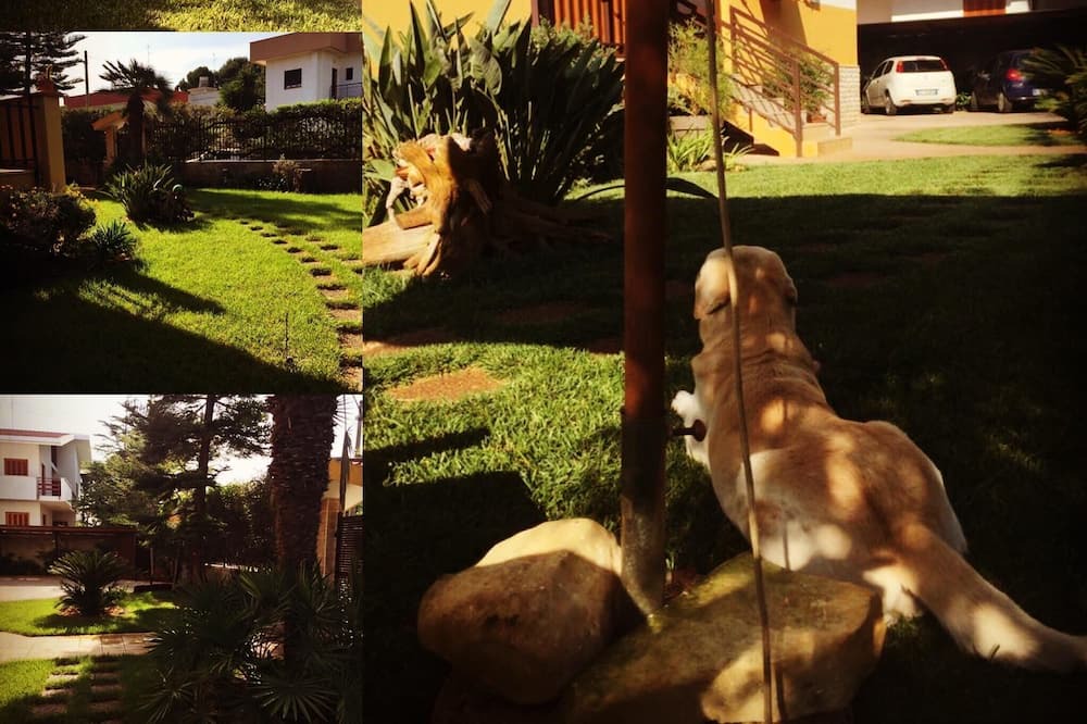 Municipio 5 Villa | The blatant red tulip