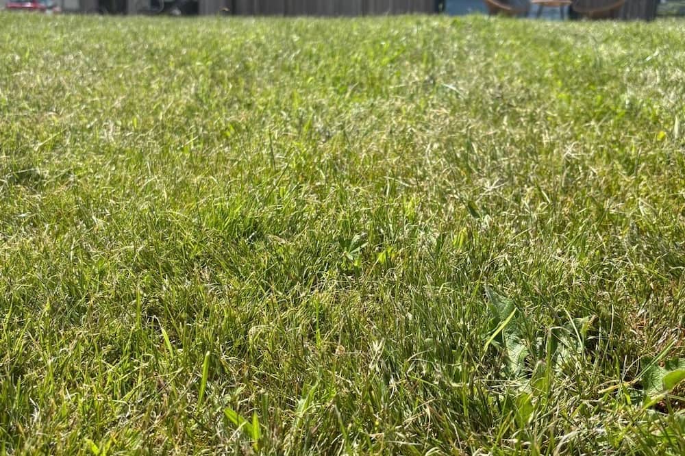 Fazouro Cabin | Cabañas Camiño do Mar