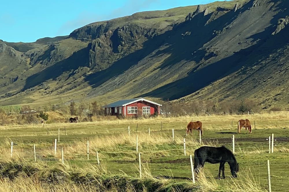 Sveitarfelagid Olfus Apartment | Fancy Iceland? Central location in South Iceland.