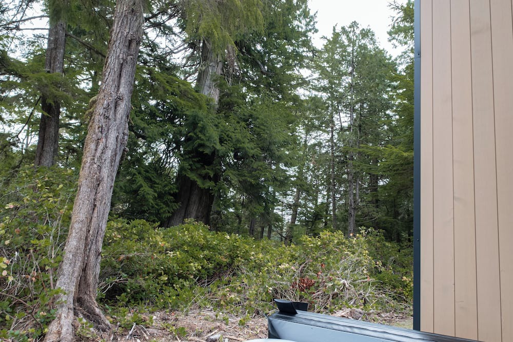 Ucluelet Cabin | NEW Calmwater 1: New Built Waterfront Cabin in Ucluelet