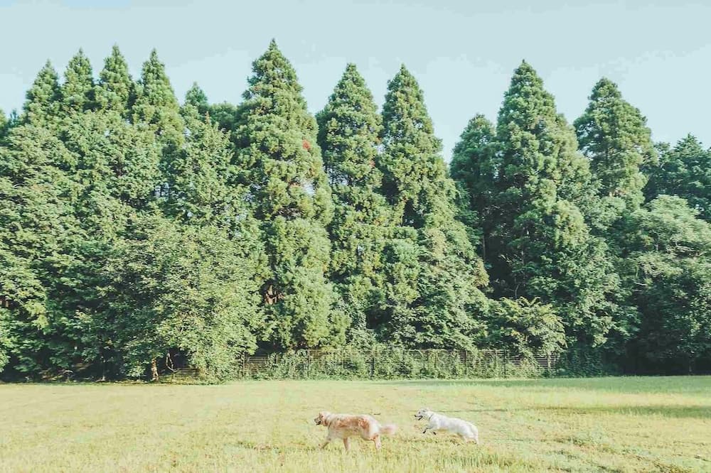 Sanbu-gun House | August only 20 off Limited to one group per d /Sanbu-gun Chiba