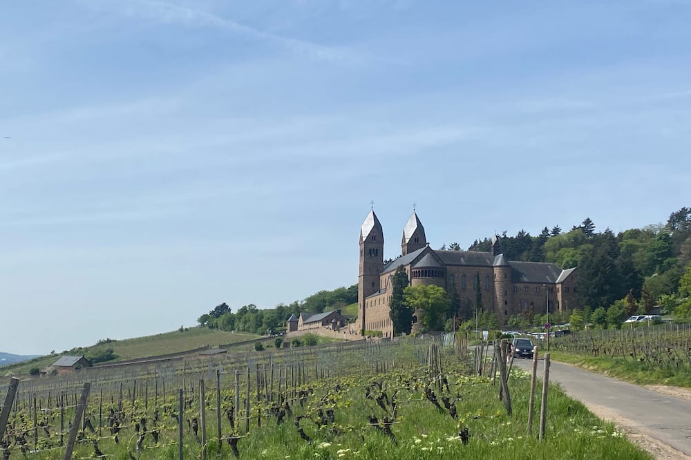 Geisenheim Apartment | Weinwandernwald im Rheingau