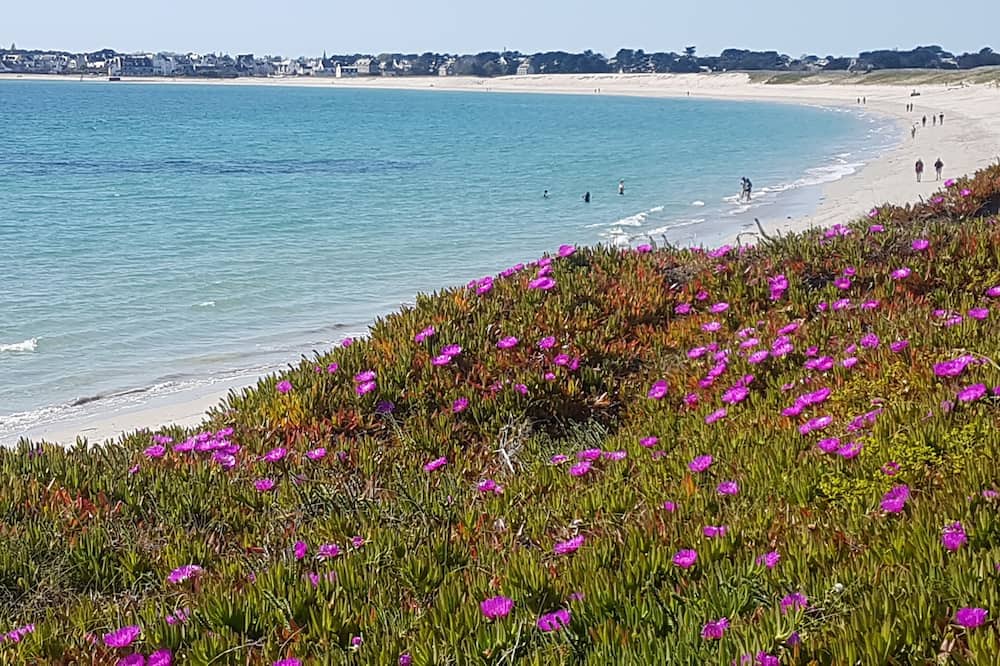 Saint-Segal House | Finistere, Entre MER ET Monts, Maison Lumineuse