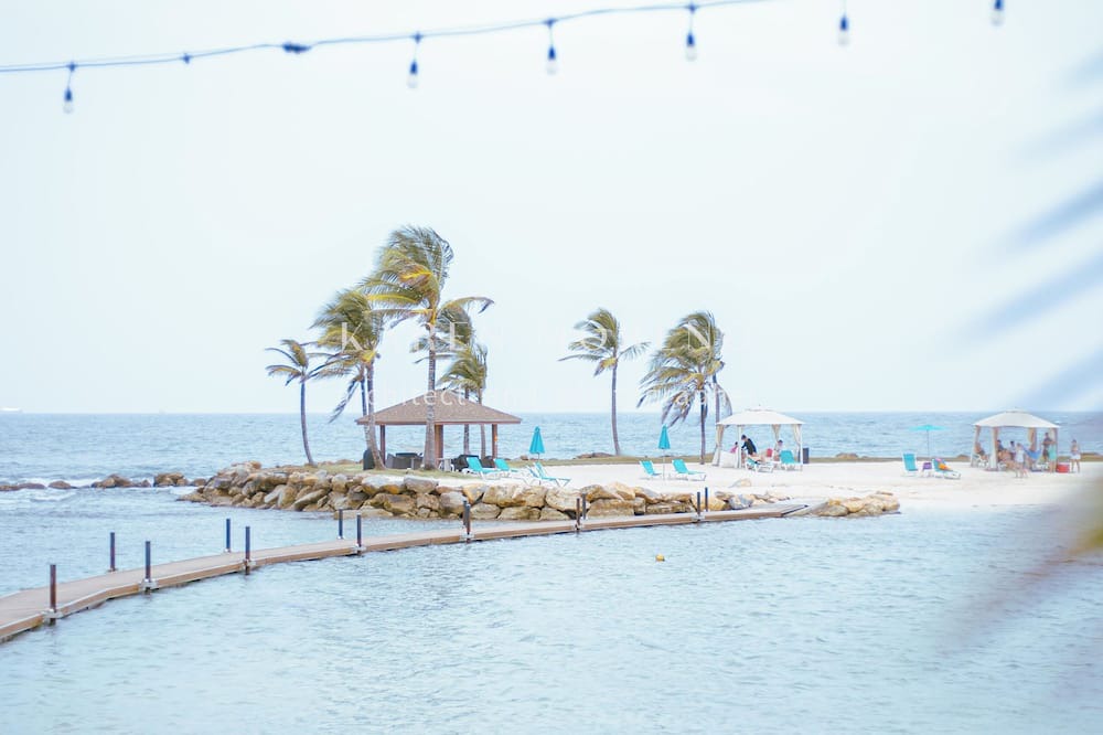 Maria Chiquita Apartment | Unmatched Ocean View & Designer Finishes: Your Stylish Escape Awaits!