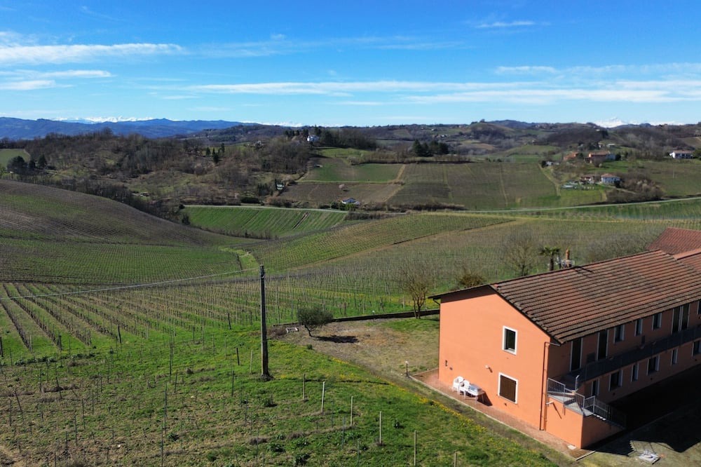 Strevi Other | Cascina Mezzane - farmhouse sorrounded by vineyards