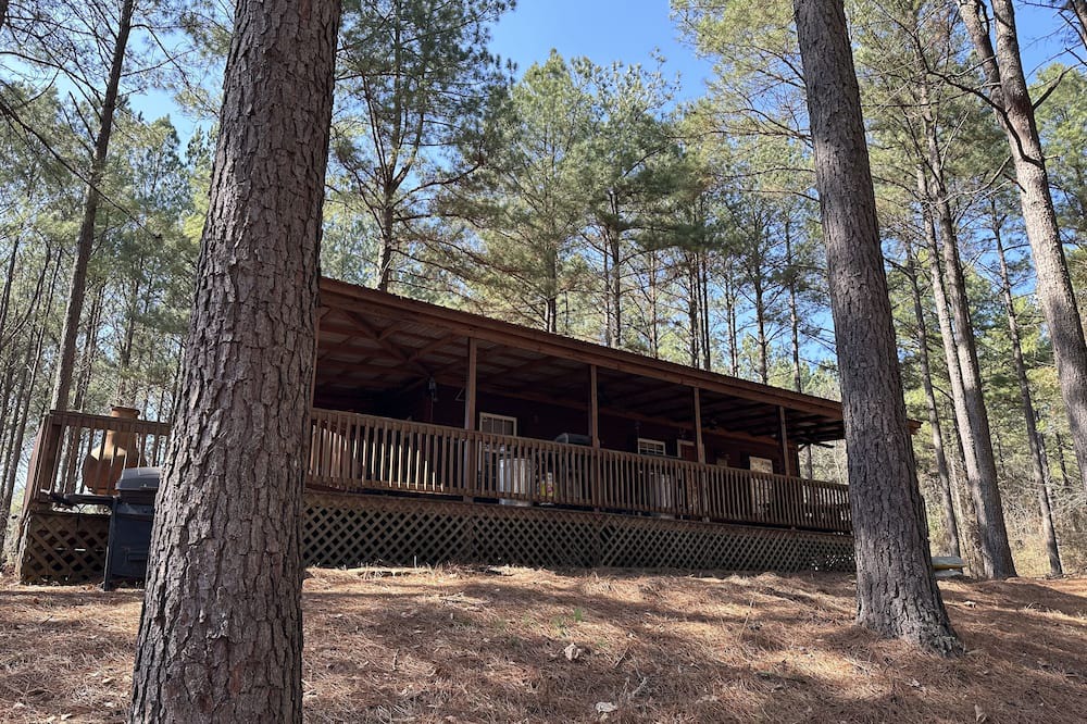 Dover Cabin | NEW LISTING! Private Cabin with Big Piney Creek frontage!