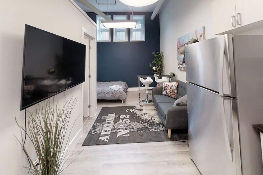 Sandy Hill Apartment | Bachelor apartment in downtown!
