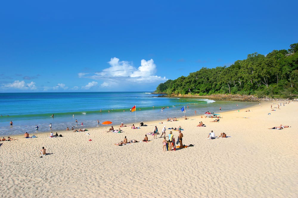 Cooroibah House | NEW | feature packed haven on 2 acres; swim up bar pool, fire pit, games room