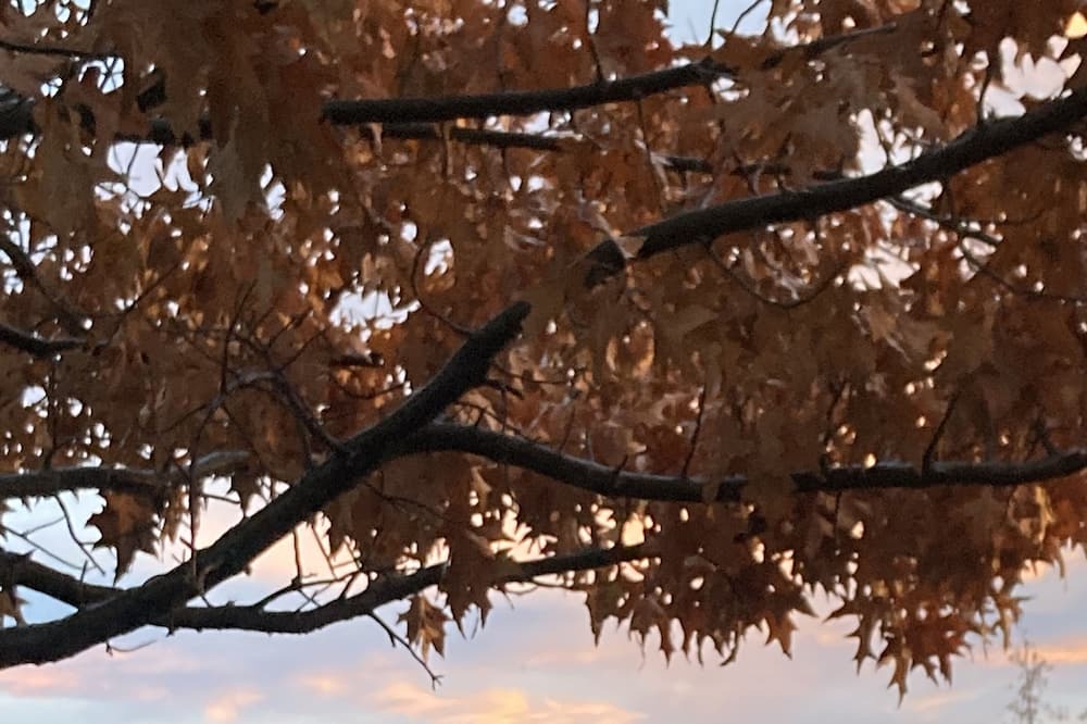 Eagle Point Other | Open for the Holidays