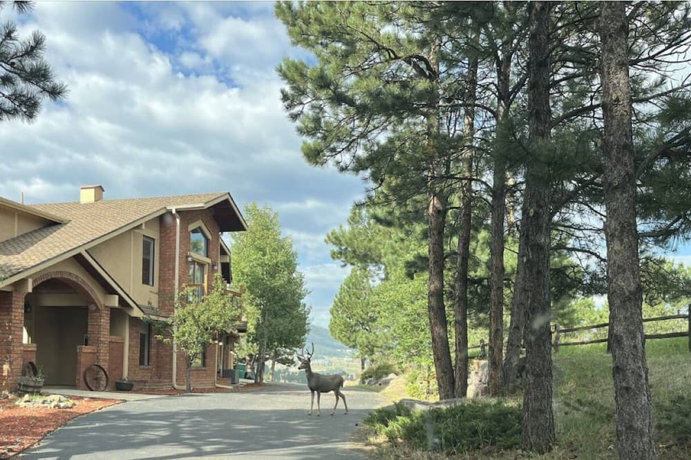 Golden Villa | Luxury Mountain View Get Away Entire Second Floor
