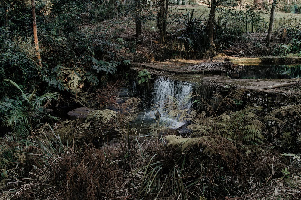 Mount Tamborine Villa | Edges by St Benards Hotel