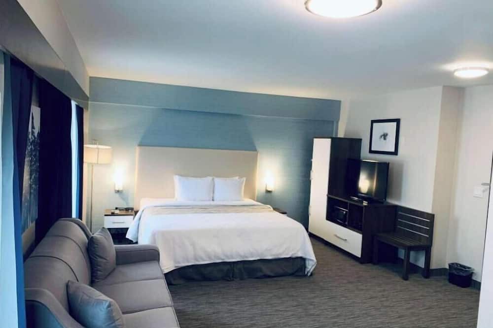 Northeast Mississauga Apartment | Hotel Chandni Victoria - King Room Disability Access