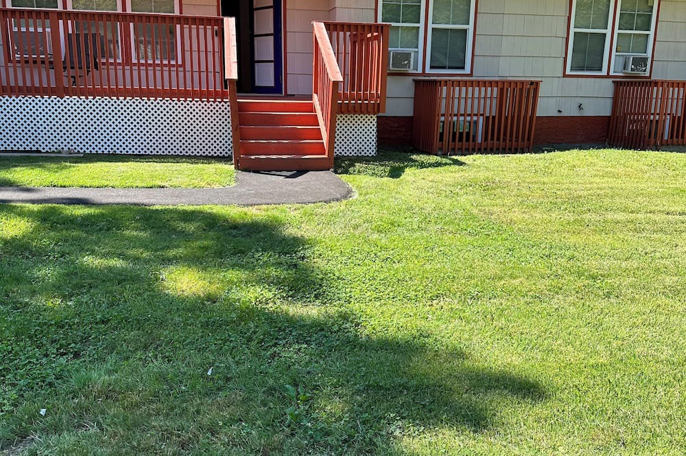 Shirley House | Charming 3-bedroom house with AC and WiFi in Shirley
