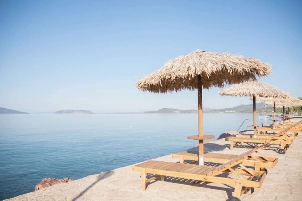 Plepi Apartment | One-Bedroom Apartment with Sea Views and Olive Grove Serenity for Up to 4 Guests