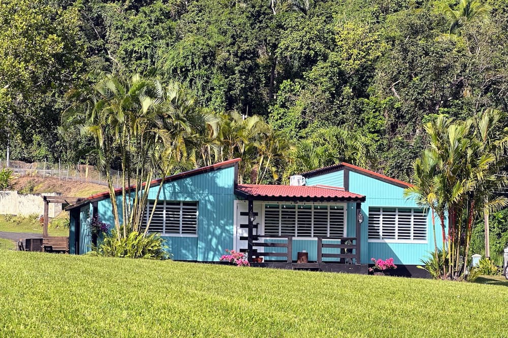 Mata de Platano Ski Chalet | Yunque Valley! 3-bedroom chalet in La Capital del sol, Luquillo! with AC, WiFi!