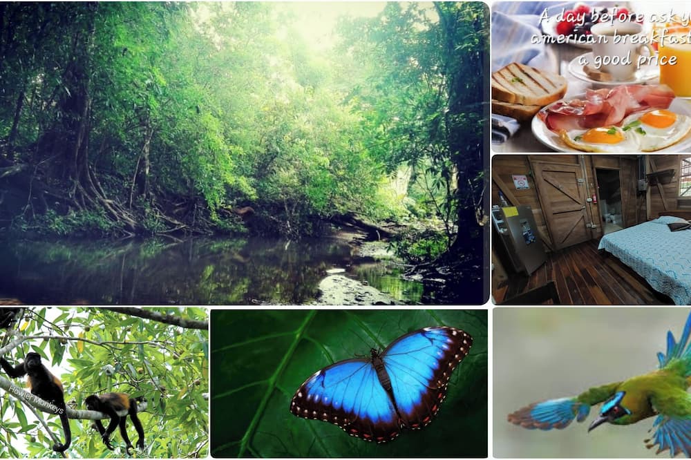 Nicoya Cabin | BluZone Jungle House AC/Wi-Fi