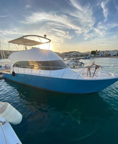 Al Mamsha El Seyahi Boat Rental | Viking