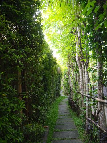 Pengosekan Cabin | De'dalam Standard