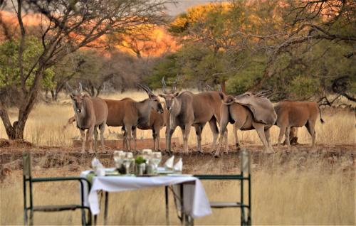 Otavi Cabin | Ohange Namibia Lodge