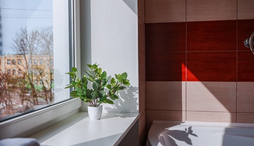 Comfort Suite