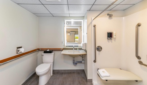 Accessible Room, 1 Queen Bed, Non Smoking