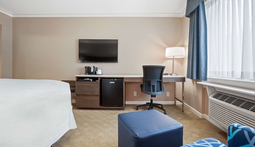 Standard Room, 1 King Bed, Non Smoking, Refrigerator & Microwave