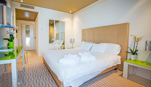 Deluxe Double or Twin Room