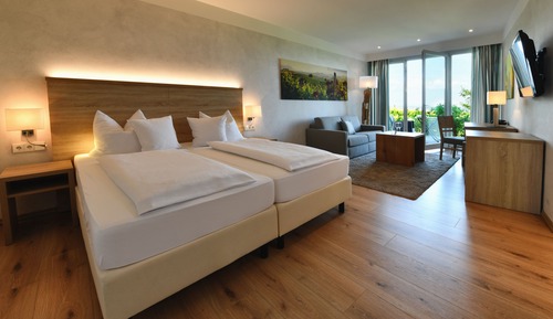 Comfort Plus Room