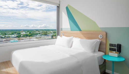 Room, 1 King Bed with Sofa bed