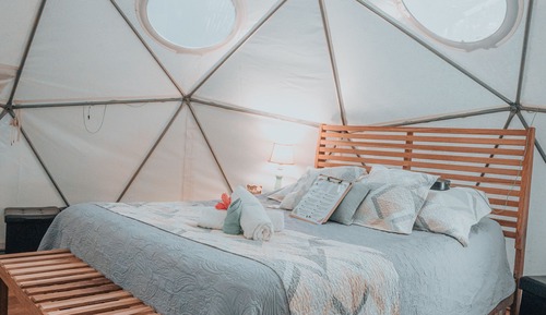 Standard Tent