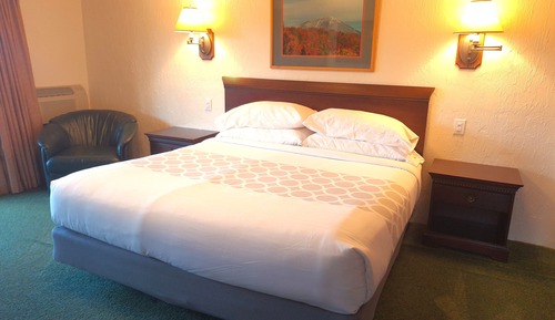 Premium Mountain View King Suite