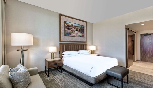 Room, 1 King Bed, Accessible (Roll-In Shower)
