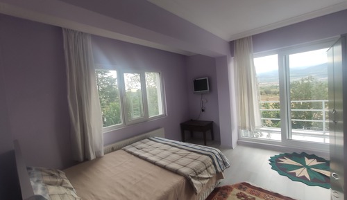 Classic Double Room, 1 Queen Bed, Lanai, Lake View