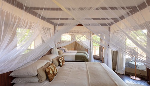 Family Tent