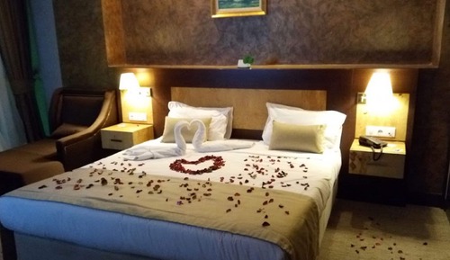 Standard Suite