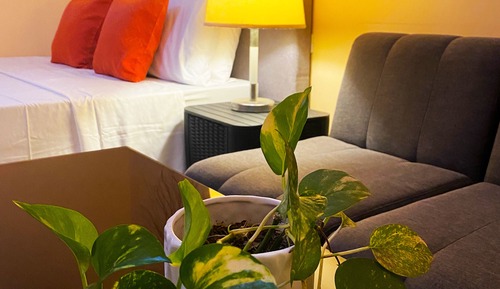Economy Double Room