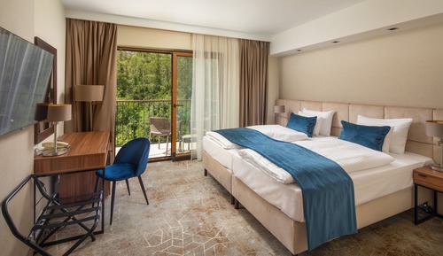 Basic Double Room