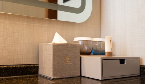Luxury Twin Room