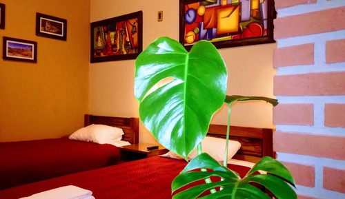 Comfort Triple Room